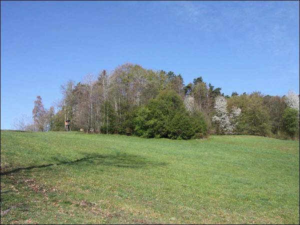 Zukunftswald Würzburg – ein Baum für jedes Kind