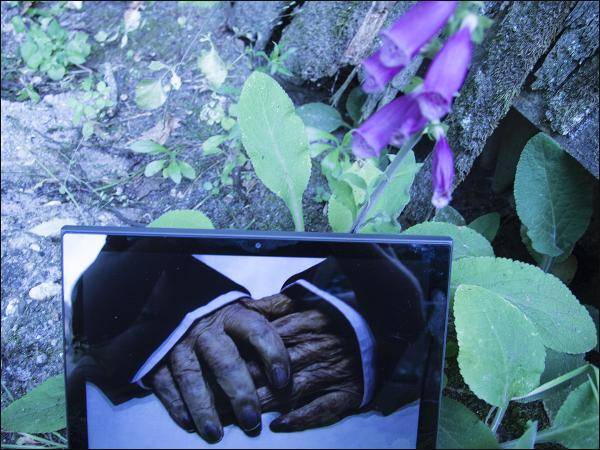 Der Tod – Warum müssen wir alle sterben?