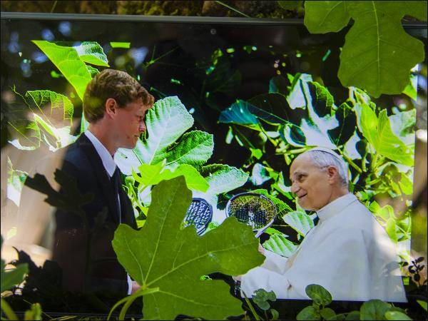 Sportlicher Papst empfängt Tennisstar Jannik Sinner